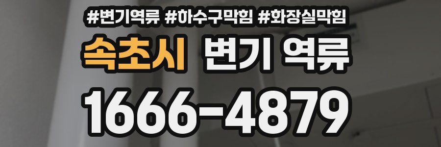 속초시 변기 역류