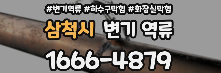 삼척시 변기 역류