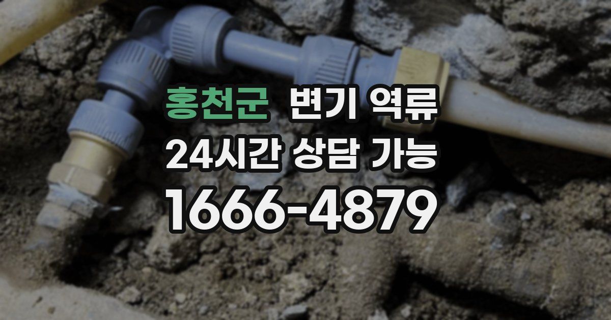 홍천군 변기 역류