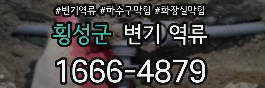 횡성군 변기 역류