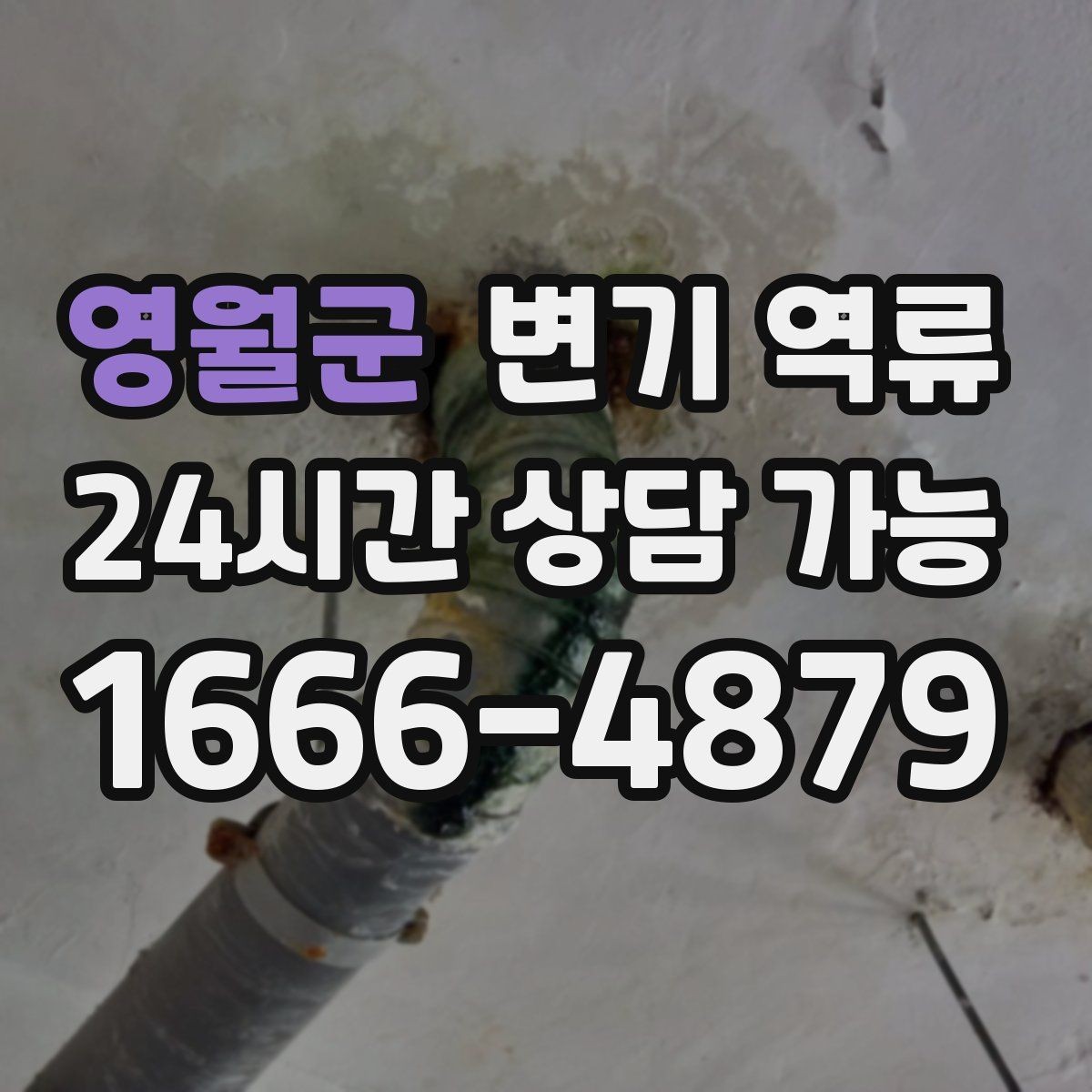 영월군 변기 역류 한 세대만 발생할 때와 여러 세대 발생할 때 차이