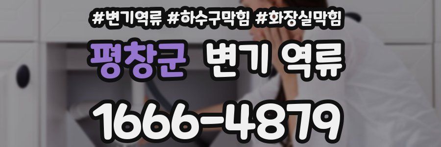 평창군 변기 역류