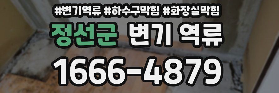 정선군 변기 역류