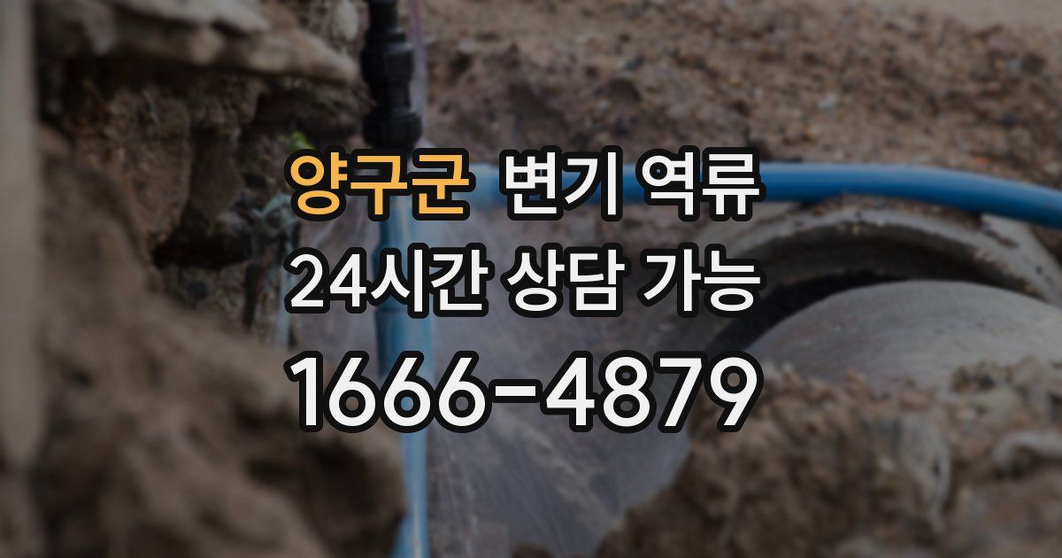 양구군 변기 역류