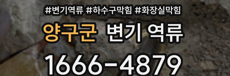 양구군 변기 역류