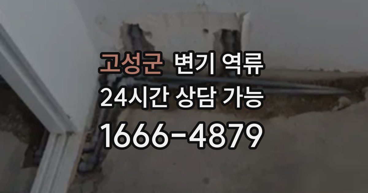 고성군 변기 역류