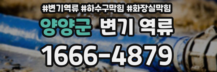 양양군 변기 역류