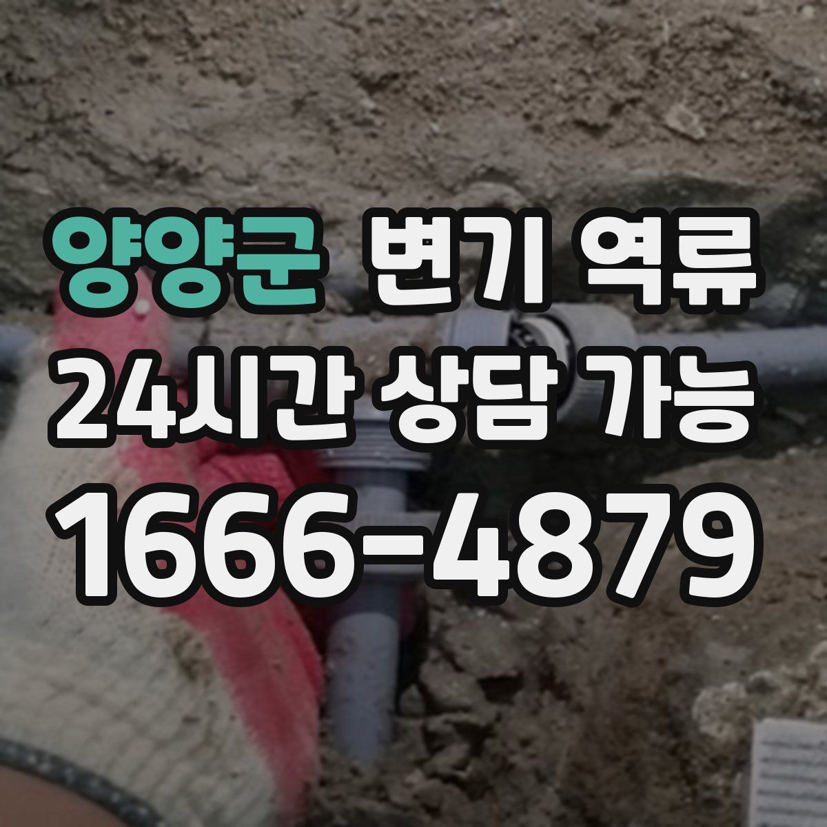 양양군 변기 역류