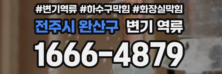 전주시 완산구 변기 역류