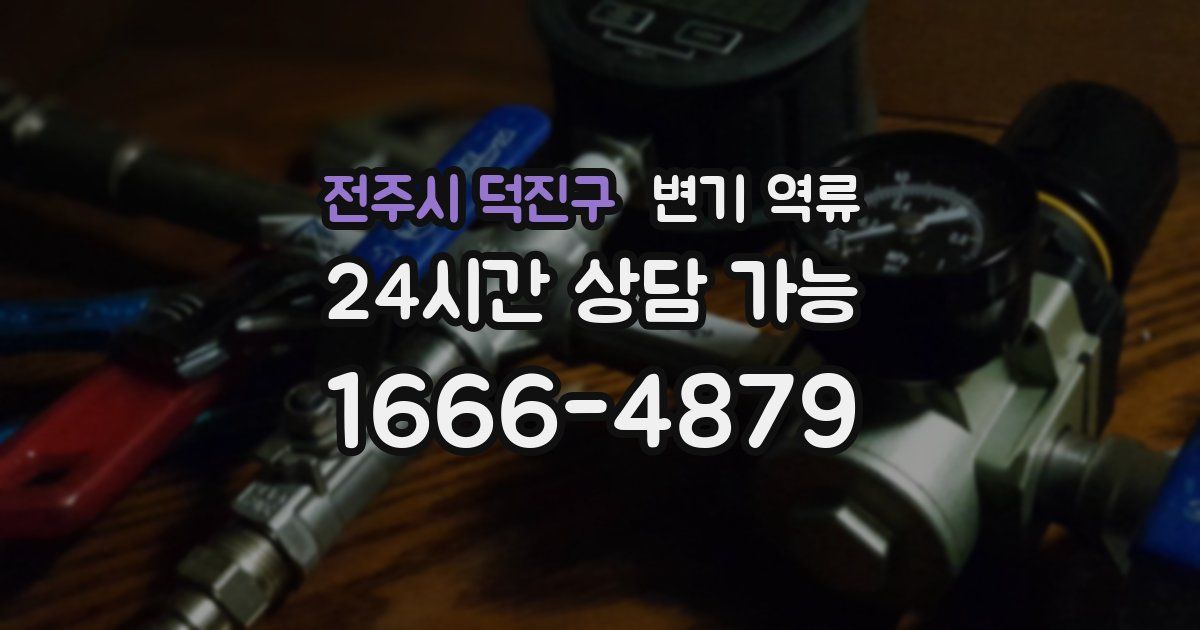 전주시 덕진구 변기 역류