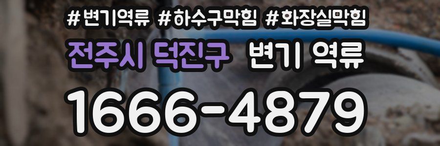 전주시 덕진구 변기 역류