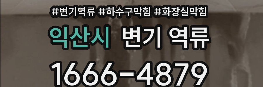 익산시 변기 역류