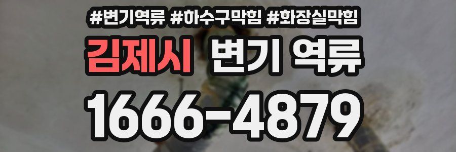 김제시 변기 역류