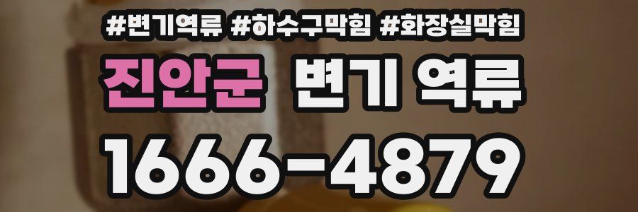 진안군 변기 역류