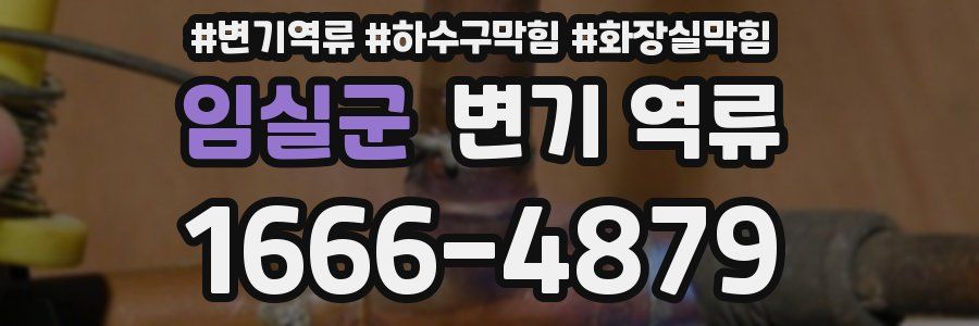 임실군 변기 역류