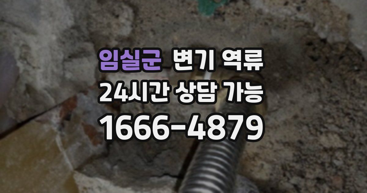 임실군 변기 역류