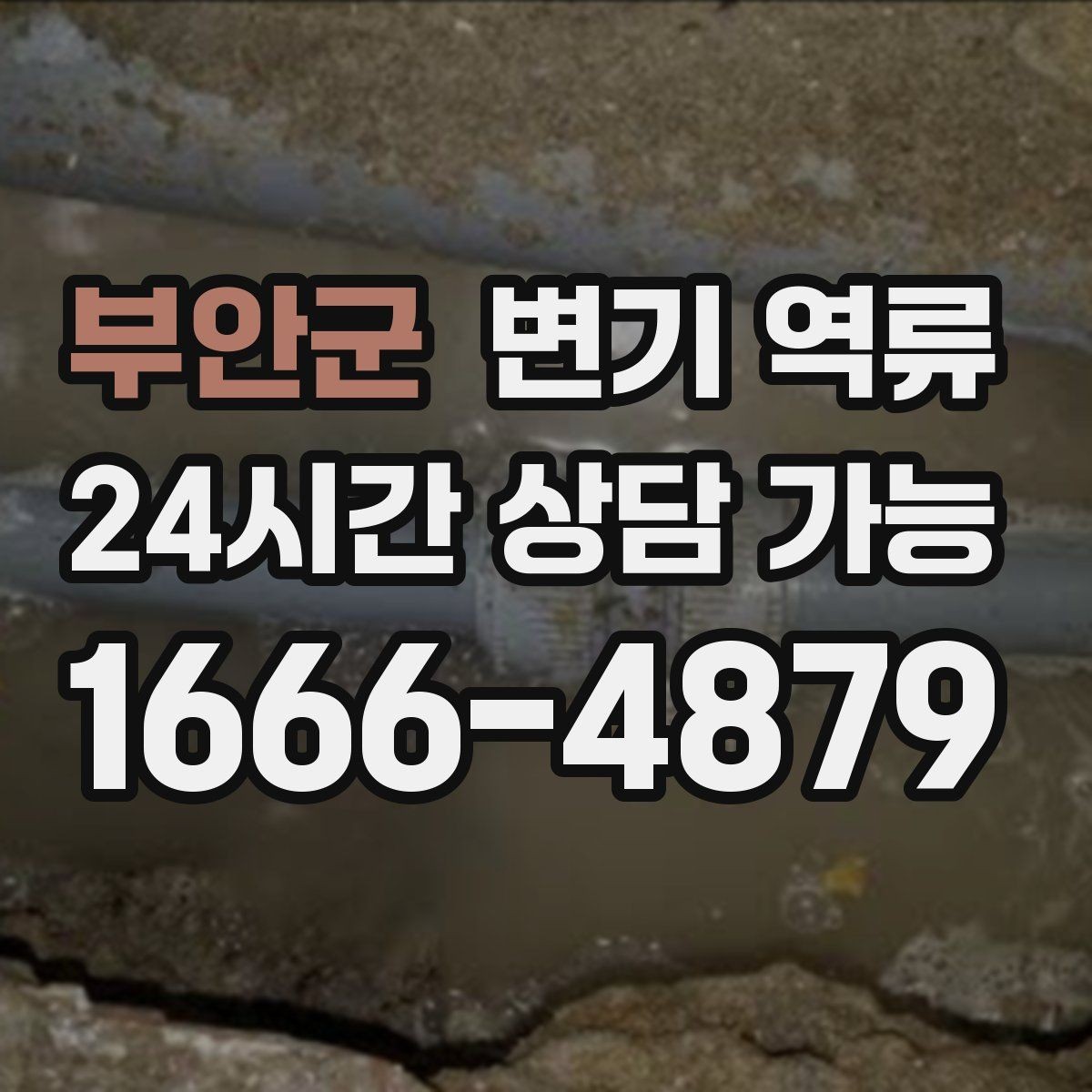 부안군 변기 역류 샤워를 하면 더 악화될 수 있는 이유