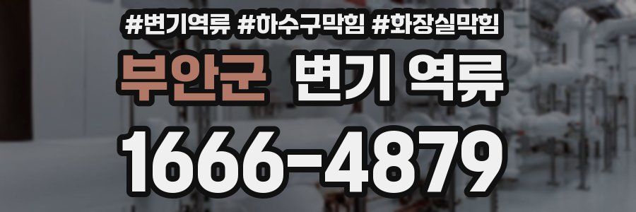 부안군 변기 역류