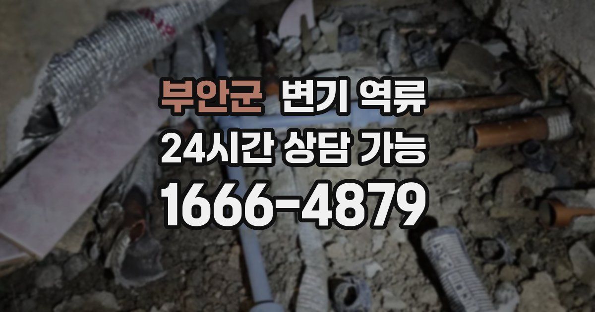 부안군 변기 역류