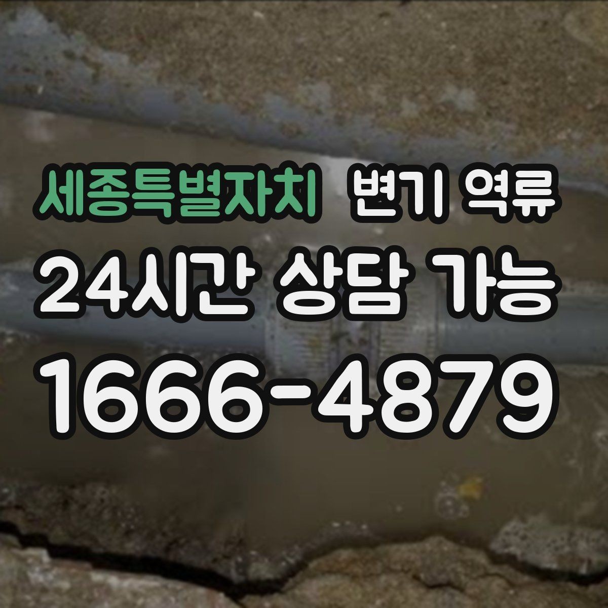 세종특별자치 변기 역류 오염수 처리 후 마무리 점검 포인트