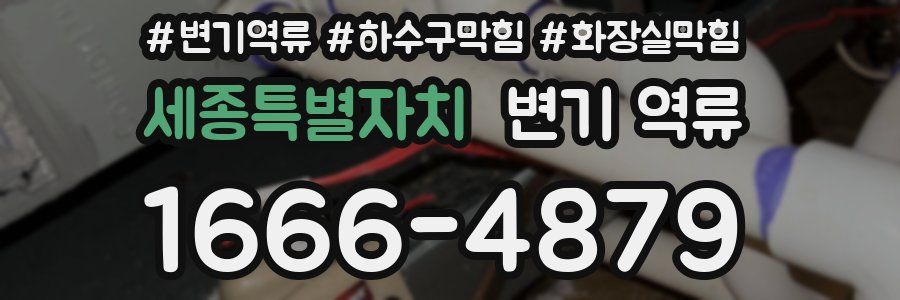 세종특별자치 변기 역류