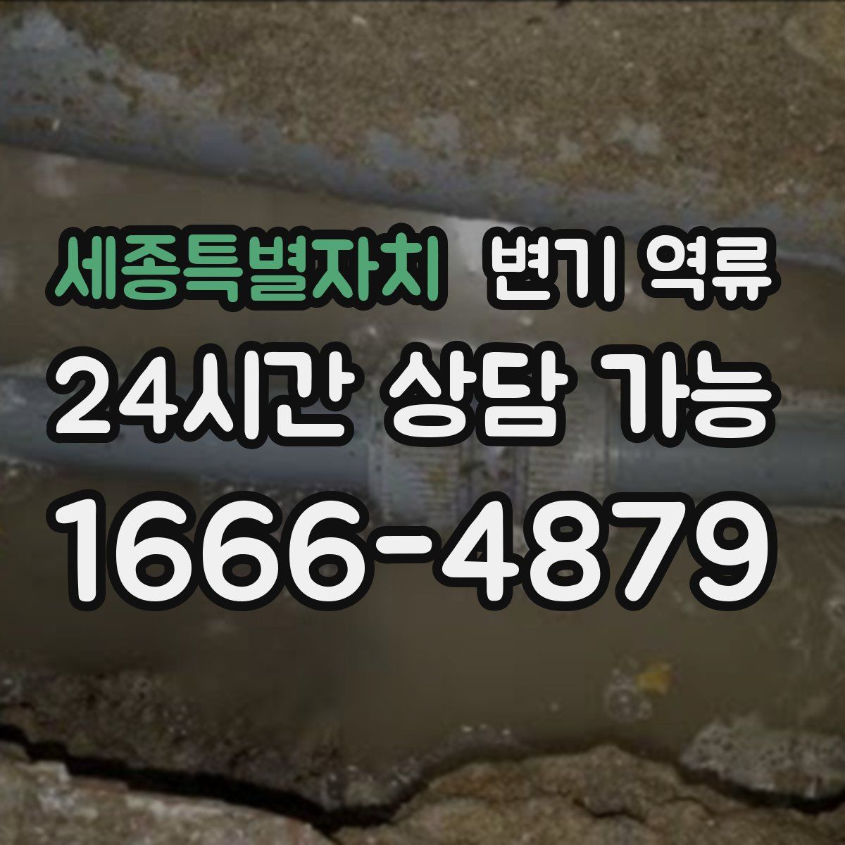 세종특별자치 변기 역류