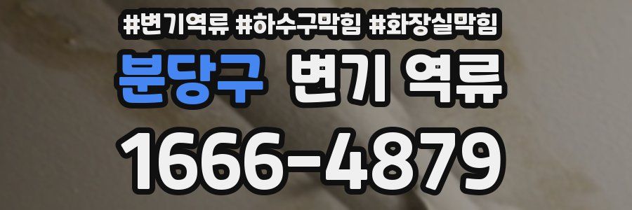 분당구 변기 역류