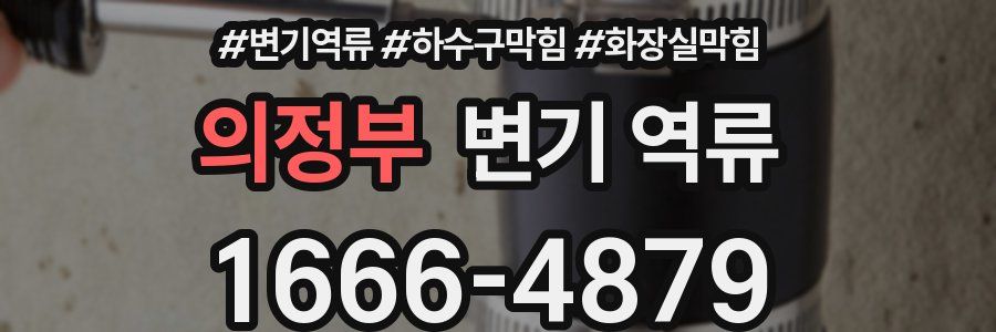 의정부 변기 역류