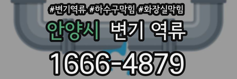 안양시 변기 역류