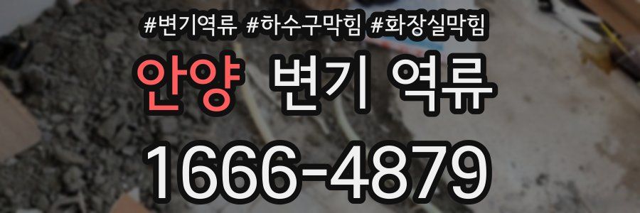 안양 변기 역류