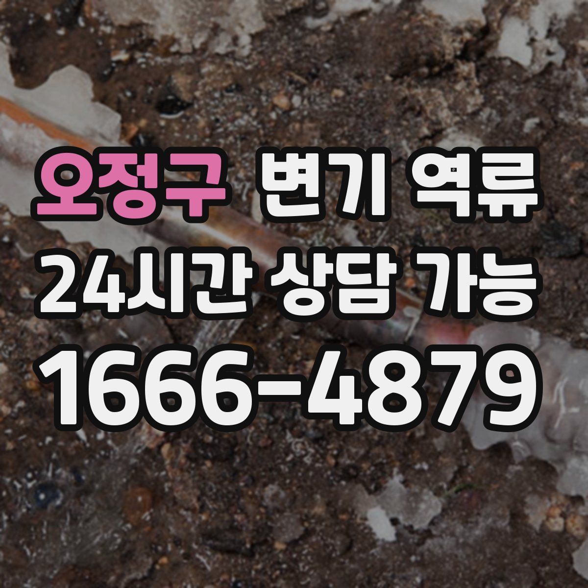 오정구 변기 역류