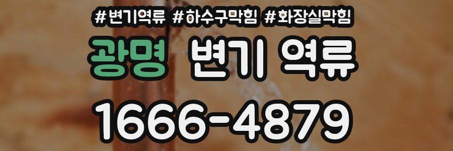 광명 변기 역류