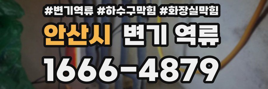 안산시 변기 역류