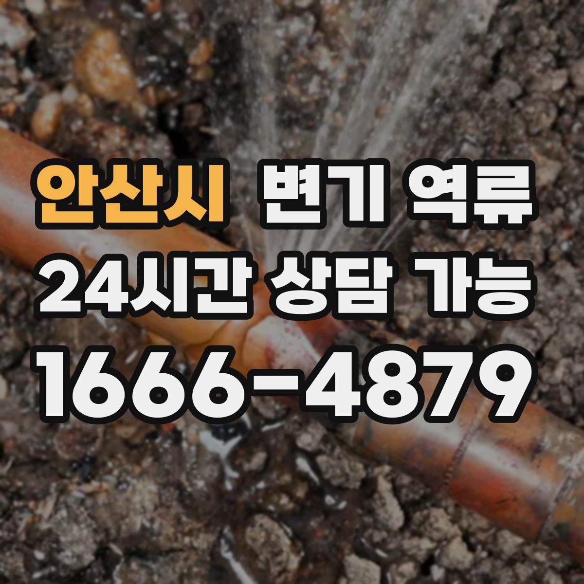 안산시 변기 역류