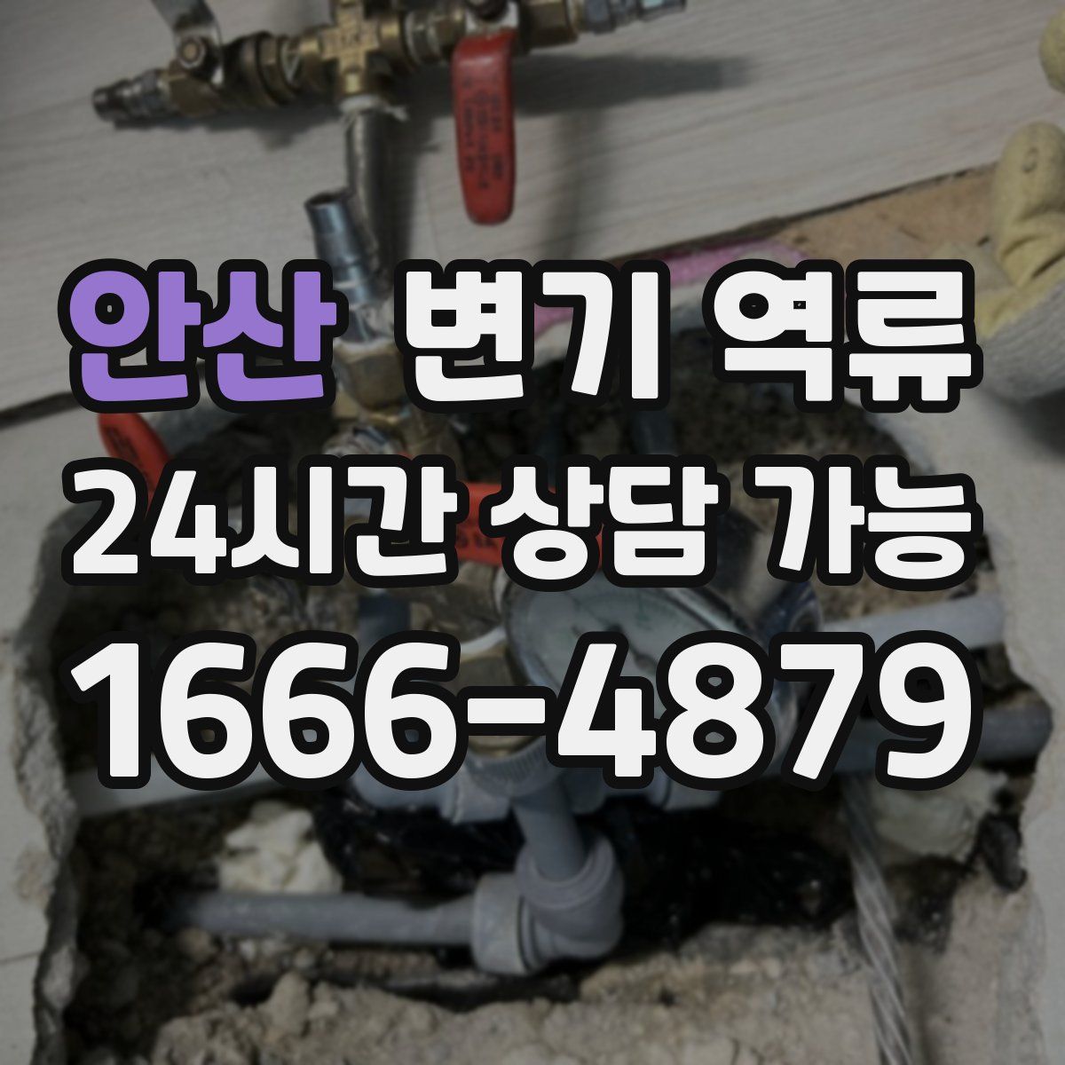 안산 변기 역류