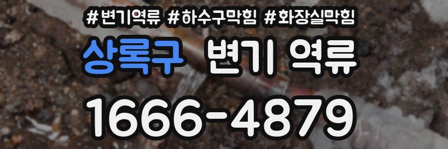 상록구 변기 역류