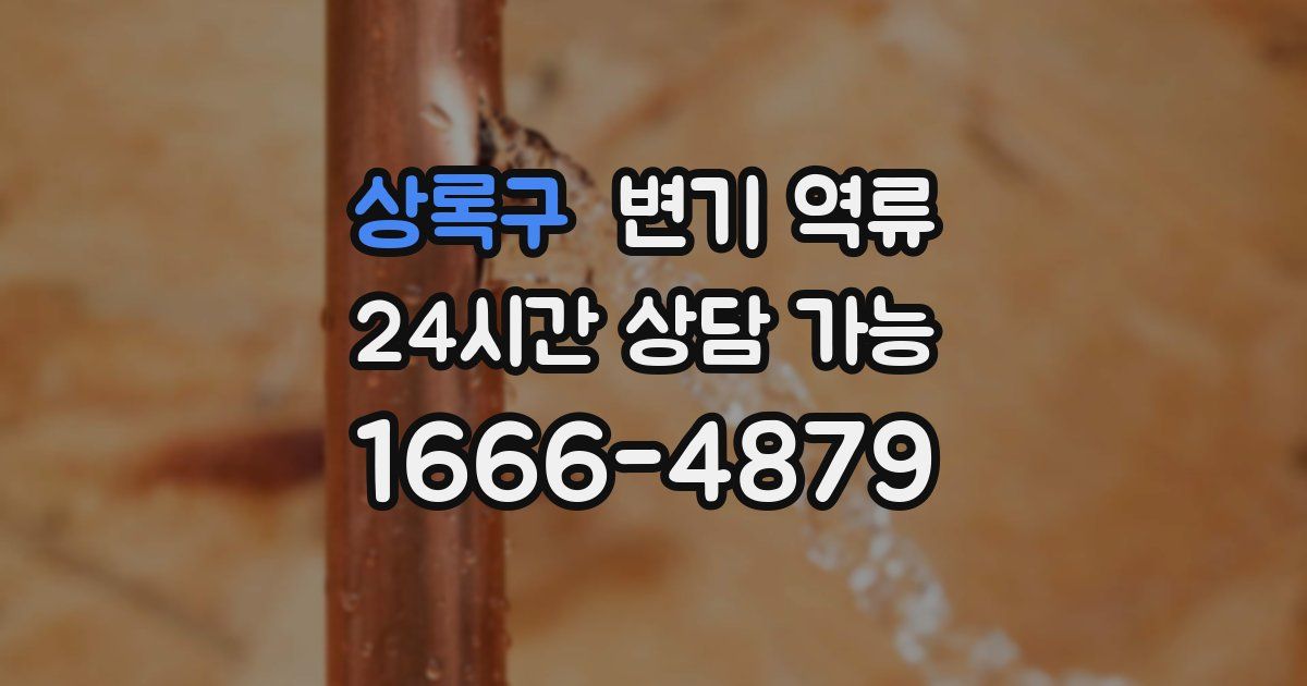 상록구 변기 역류