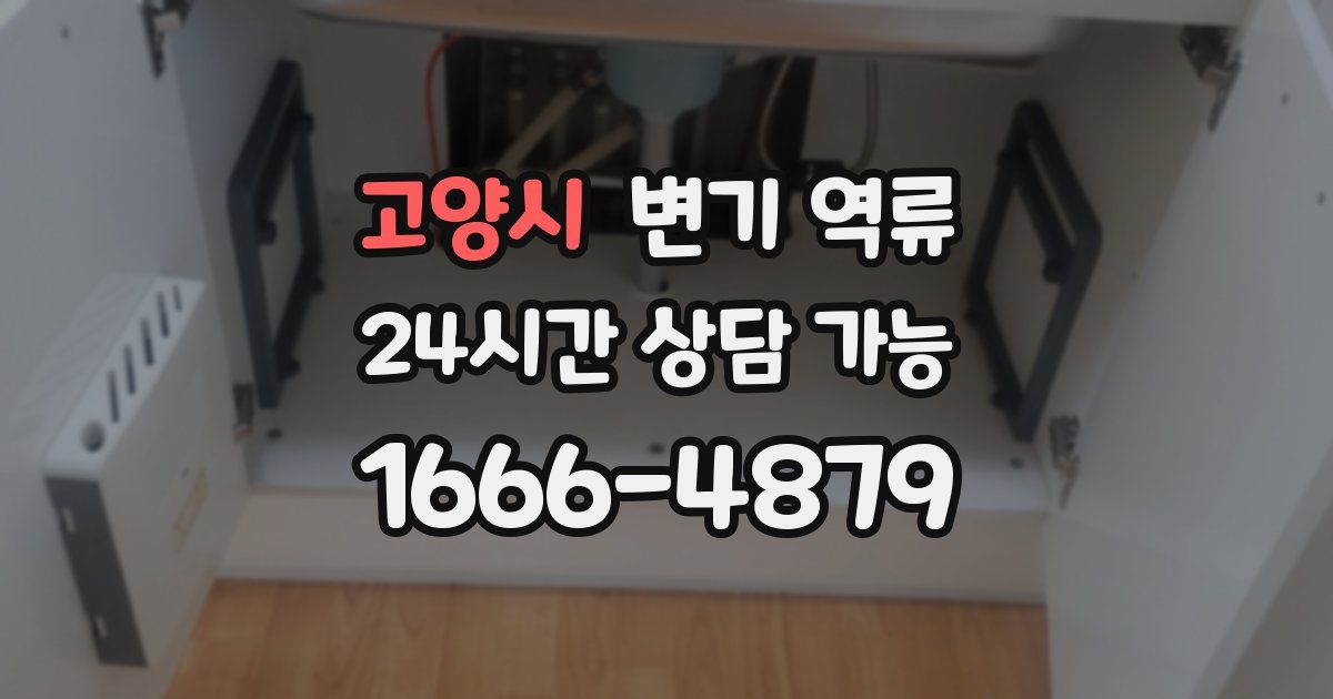 고양시 변기 역류