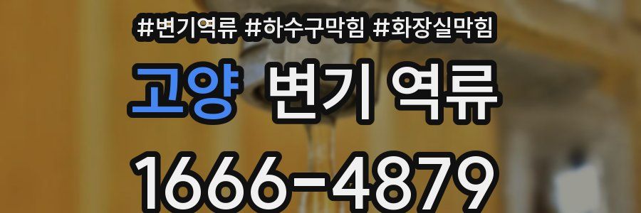 고양 변기 역류