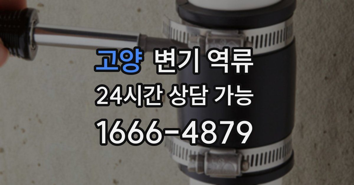 고양 변기 역류