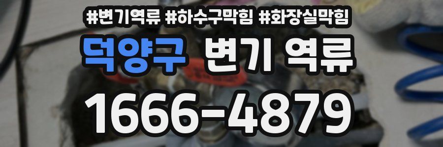 덕양구 변기 역류