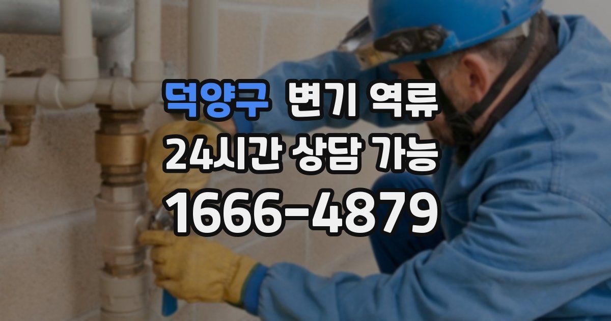 덕양구 변기 역류