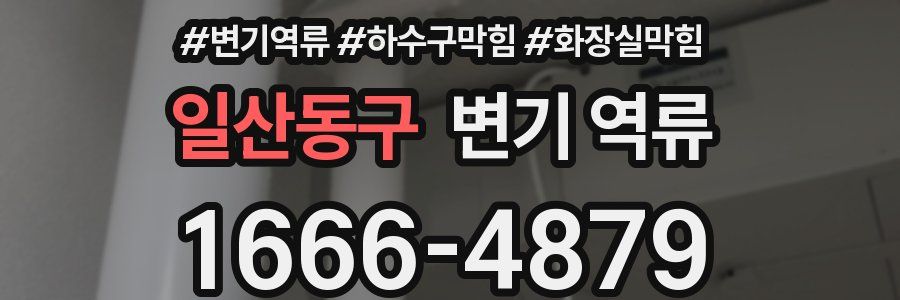 일산동구 변기 역류