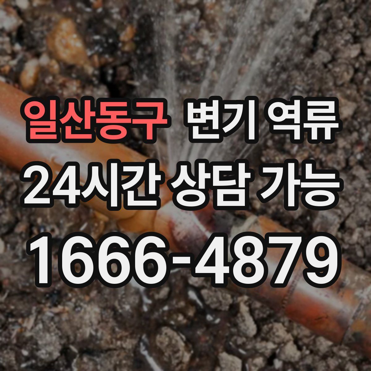 일산동구 변기 역류