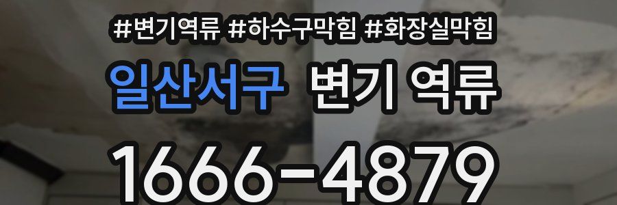 일산서구 변기 역류