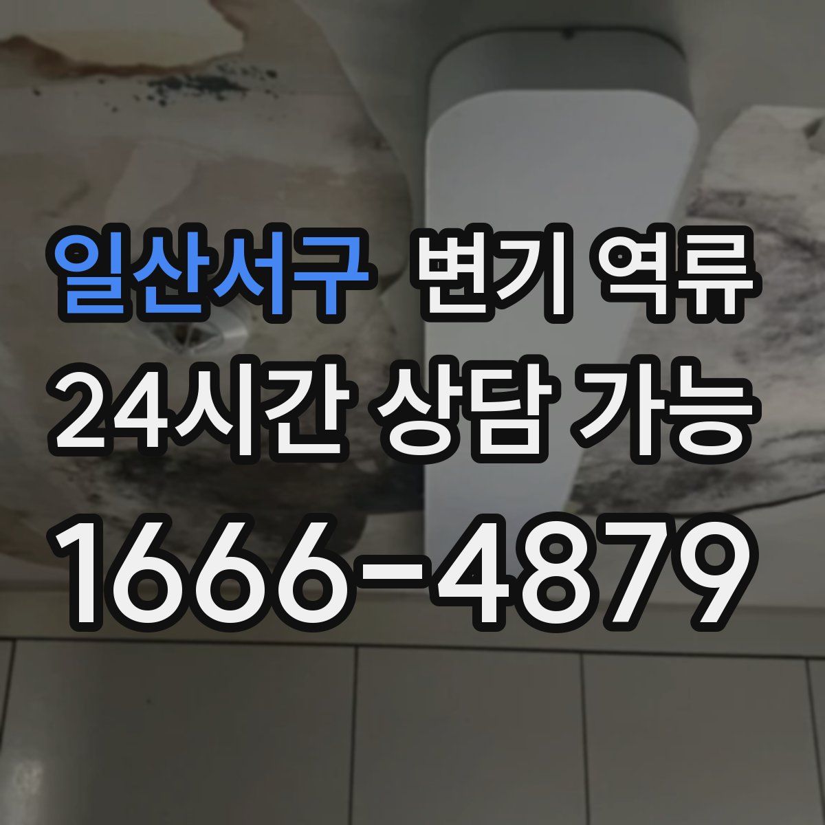 일산서구 변기 역류