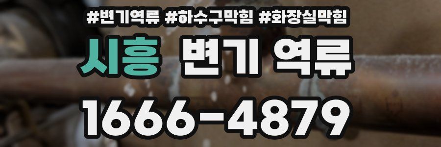 시흥 변기 역류