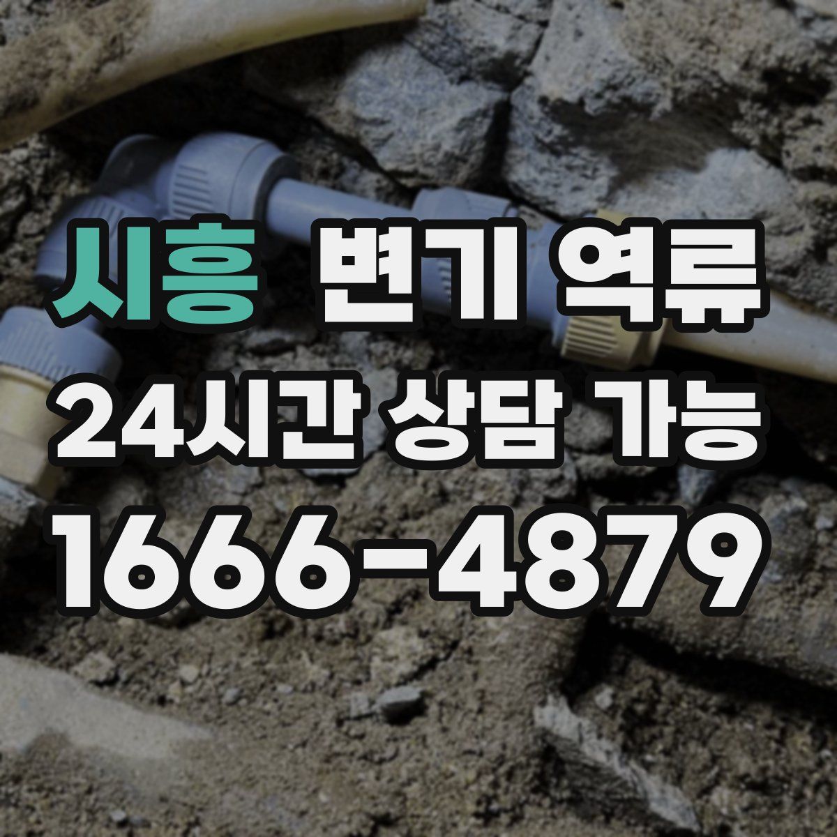 시흥 변기 역류