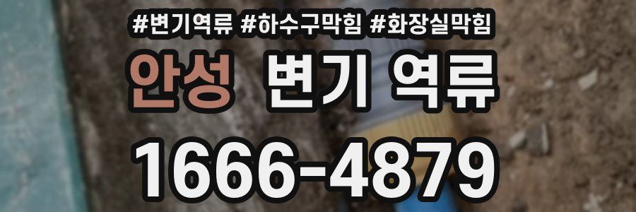 안성 변기 역류