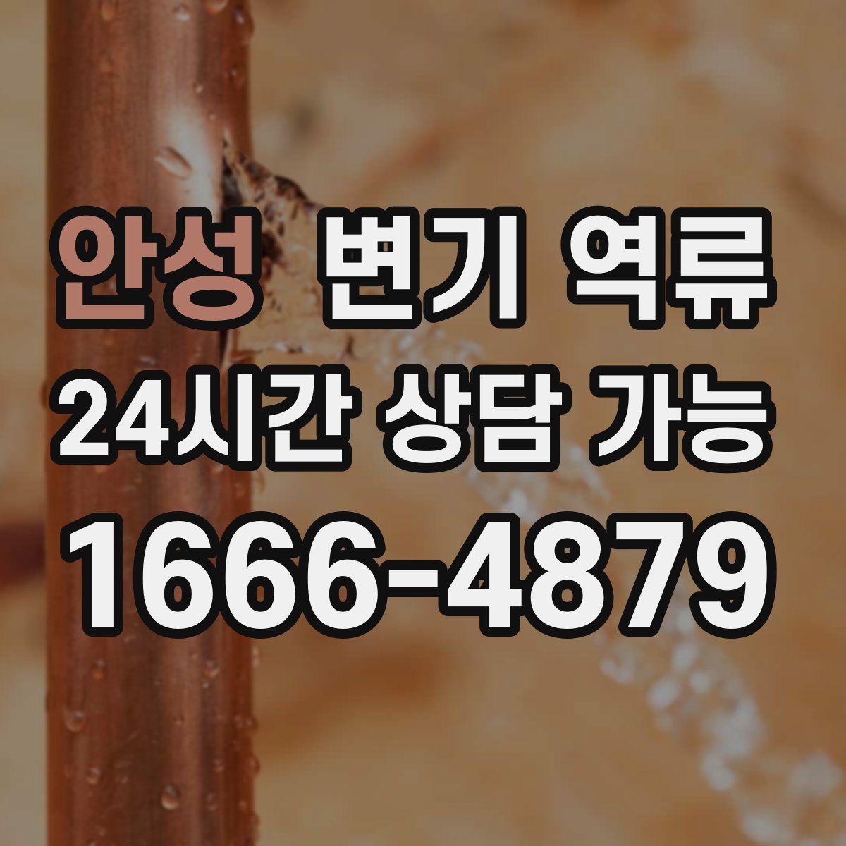 안성 변기 역류